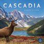 Cascadia Bordspel 10+